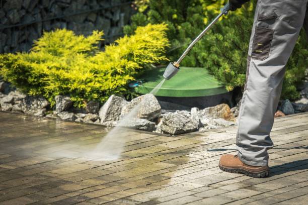 Best Gutter Cleaning and Brightening in Hitchcock, TX